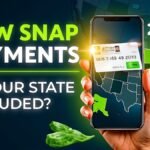 New SNAP Food Stamp Payments 2025 Rolling Out: Check If Your State Is Included!